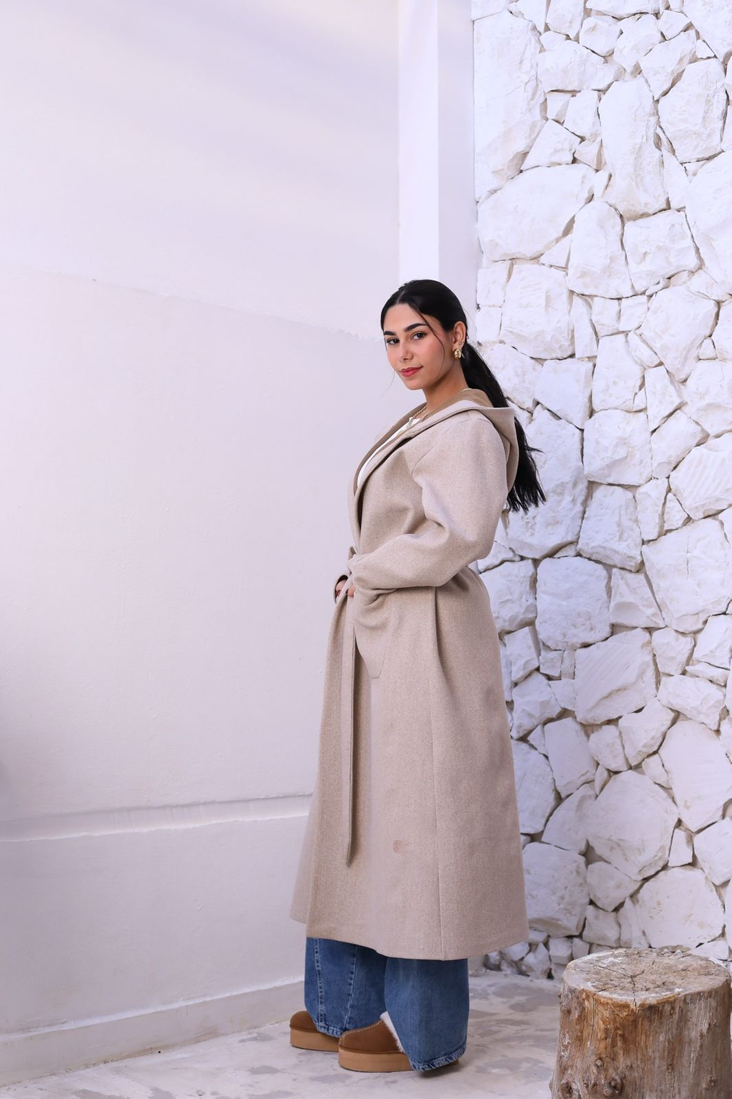 Wool Hooded Coat in Beige